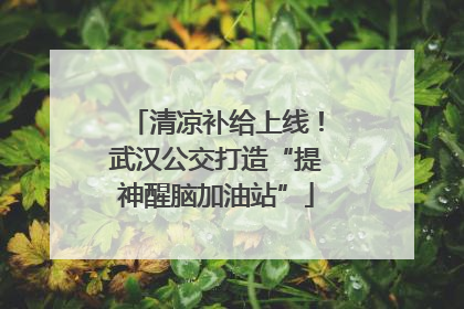 清凉补给上线！武汉公交打造“提神醒脑加油站”