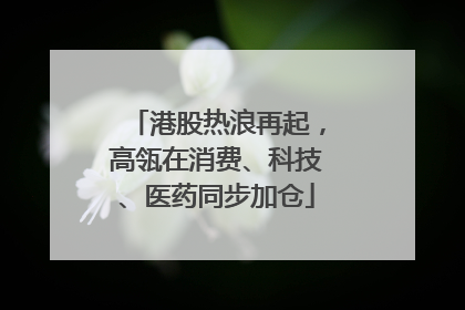 港股热浪再起，高瓴在消费、科技、医药同步加仓