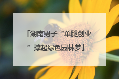 湖南男子“单腿创业”撑起绿色园林梦