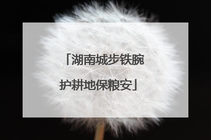 湖南城步铁腕护耕地保粮安