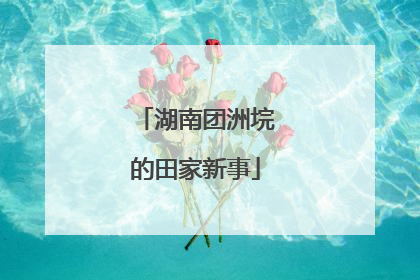 湖南团洲垸的田家新事