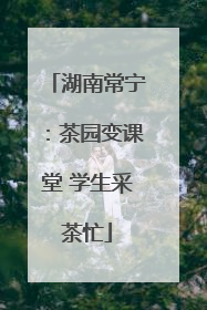湖南常宁：茶园变课堂 学生采茶忙
