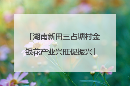 湖南新田三占塘村金银花产业兴旺促振兴