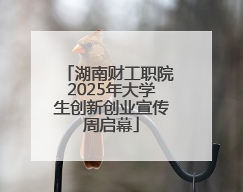 湖南财工职院2025年大学生创新创业宣传周启幕