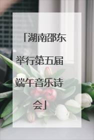 湖南邵东举行第五届端午音乐诗会