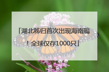 湖北秭归首次出现海南鳽！全球仅存1000只