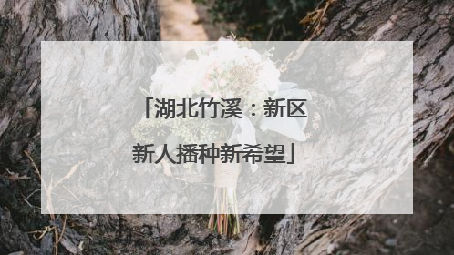 湖北竹溪：新区新人播种新希望