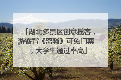 湖北多景区创意揽客，游客背《离骚》可免门票，大学生通过率高