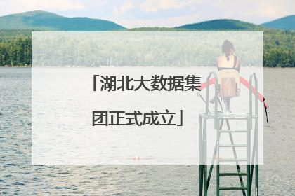 湖北大数据集团正式成立