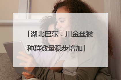 湖北巴东：川金丝猴种群数量稳步增加