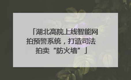 湖北高院上线智能网拍预警系统，打造司法拍卖“防火墙”