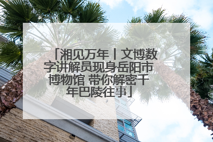 湘见万年丨文博数字讲解员现身岳阳市博物馆 带你解密千年巴陵往事