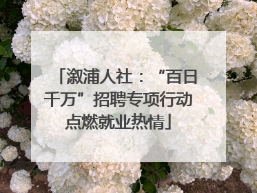 溆浦人社：“百日千万”招聘专项行动点燃就业热情