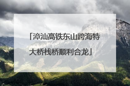 漳汕高铁东山跨海特大桥栈桥顺利合龙