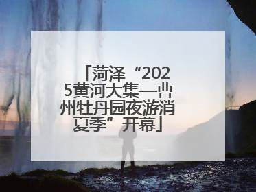 菏泽“2025黄河大集—曹州牡丹园夜游消夏季”开幕