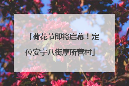 荷花节即将启幕！定位安宁八街摩所营村