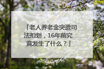 老人养老金突遭司法扣划，16年前究竟发生了什么？