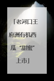 老河口王府洲有机西瓜“甜蜜”上市