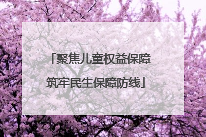 聚焦儿童权益保障 筑牢民生保障防线