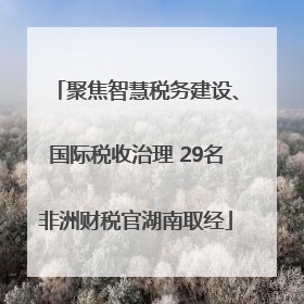 聚焦智慧税务建设、国际税收治理 29名非洲财税官湖南取经