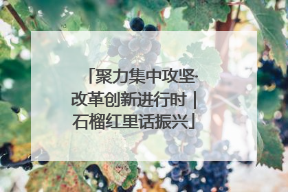 聚力集中攻坚·改革创新进行时｜石榴红里话振兴