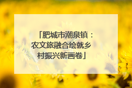 肥城市潮泉镇：农文旅融合绘就乡村振兴新画卷