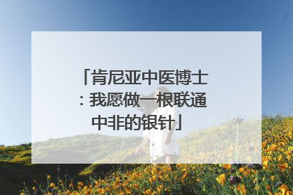 肯尼亚中医博士：我愿做一根联通中非的银针