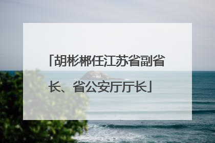 胡彬郴任江苏省副省长、省公安厅厅长