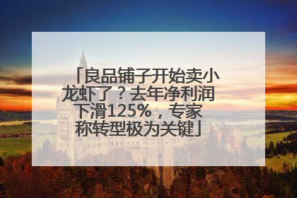 良品铺子开始卖小龙虾了？去年净利润下滑125%，专家称转型极为关键