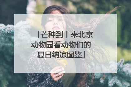 芒种到丨来北京动物园看动物们的夏日纳凉图鉴