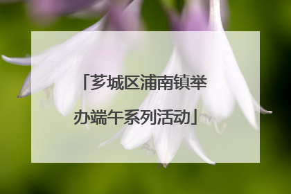芗城区浦南镇举办端午系列活动