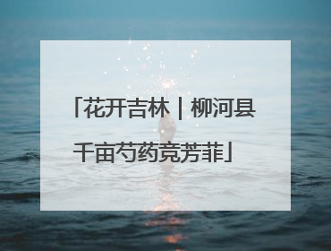 花开吉林｜柳河县千亩芍药竞芳菲