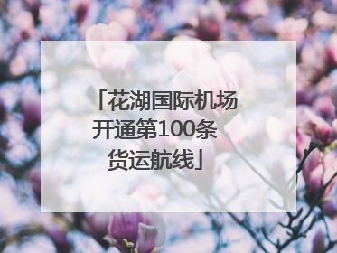 花湖国际机场开通第100条货运航线