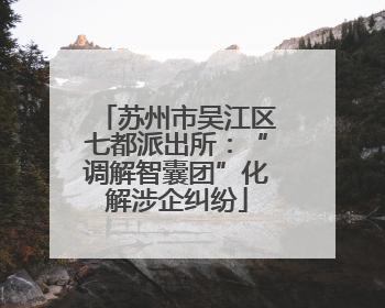 苏州市吴江区七都派出所：“调解智囊团”化解涉企纠纷
