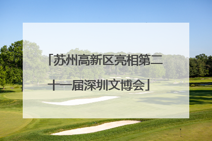 苏州高新区亮相第二十一届深圳文博会