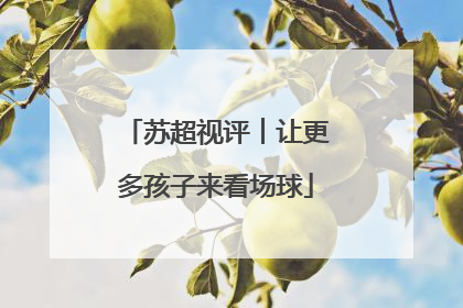 苏超视评︱让更多孩子来看场球