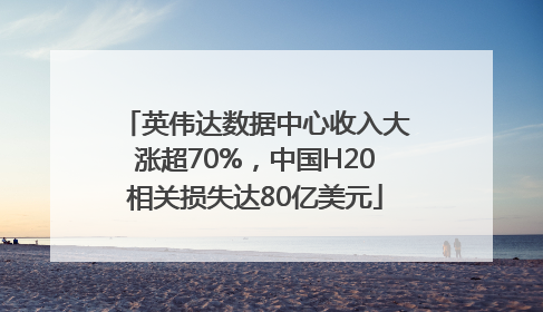 英伟达数据中心收入大涨超70%，中国H20相关损失达80亿美元
