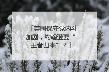 英国保守党内斗加剧，约翰逊要“王者归来”？