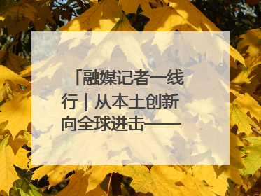 融媒记者一线行｜从本土创新向全球进击——我市生物医药产业破茧突围