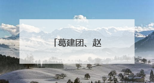 葛建团、赵峰，升副部