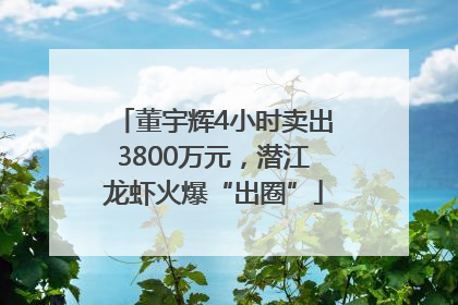 董宇辉4小时卖出3800万元，潜江龙虾火爆“出圈”