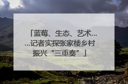 蓝莓、生态、艺术……记者实探张家楼乡村振兴“三重奏”