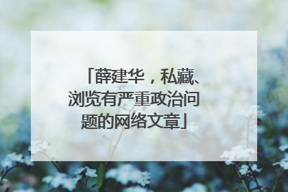 薛建华，私藏、浏览有严重政治问题的网络文章