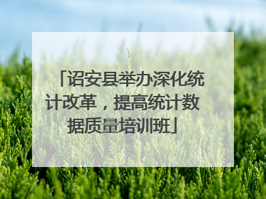 诏安县举办深化统计改革，提高统计数据质量培训班