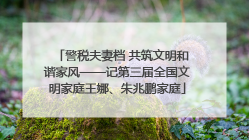 警税夫妻档 共筑文明和谐家风——记第三届全国文明家庭王娜、朱兆鹏家庭