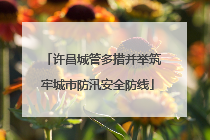 许昌城管多措并举筑牢城市防汛安全防线