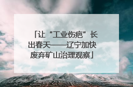 让“工业伤疤”长出春天——辽宁加快废弃矿山治理观察