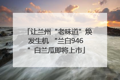 让兰州“老味道”焕发生机 “兰白946”白兰瓜即将上市