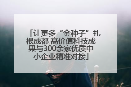 让更多“金种子”扎根成都 高价值科技成果与300余家优质中小企业精准对接