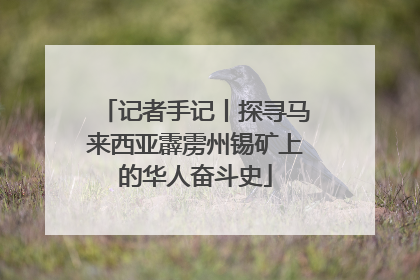 记者手记丨探寻马来西亚霹雳州锡矿上的华人奋斗史